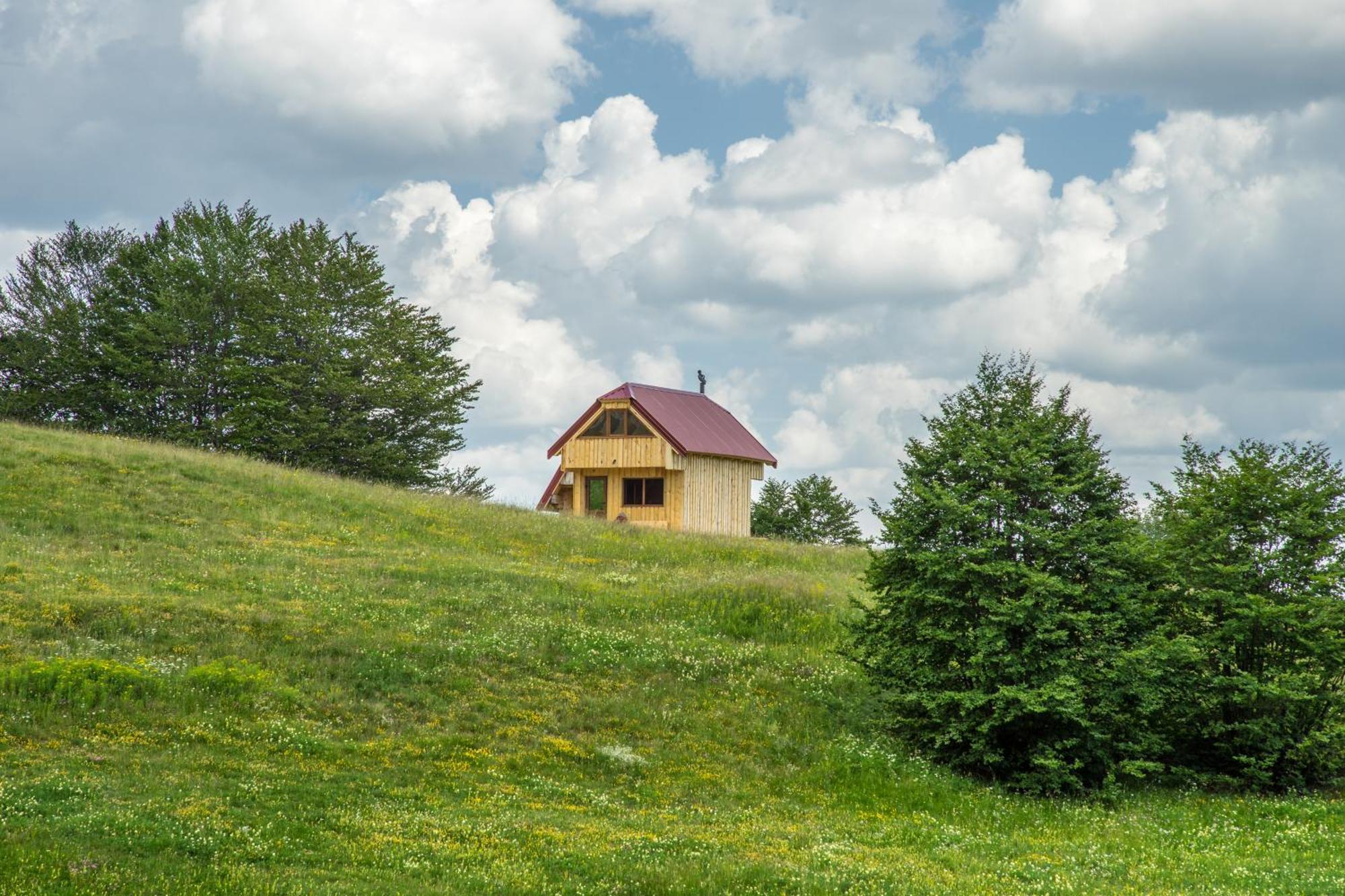 Maple Village Žabljak Стая снимка