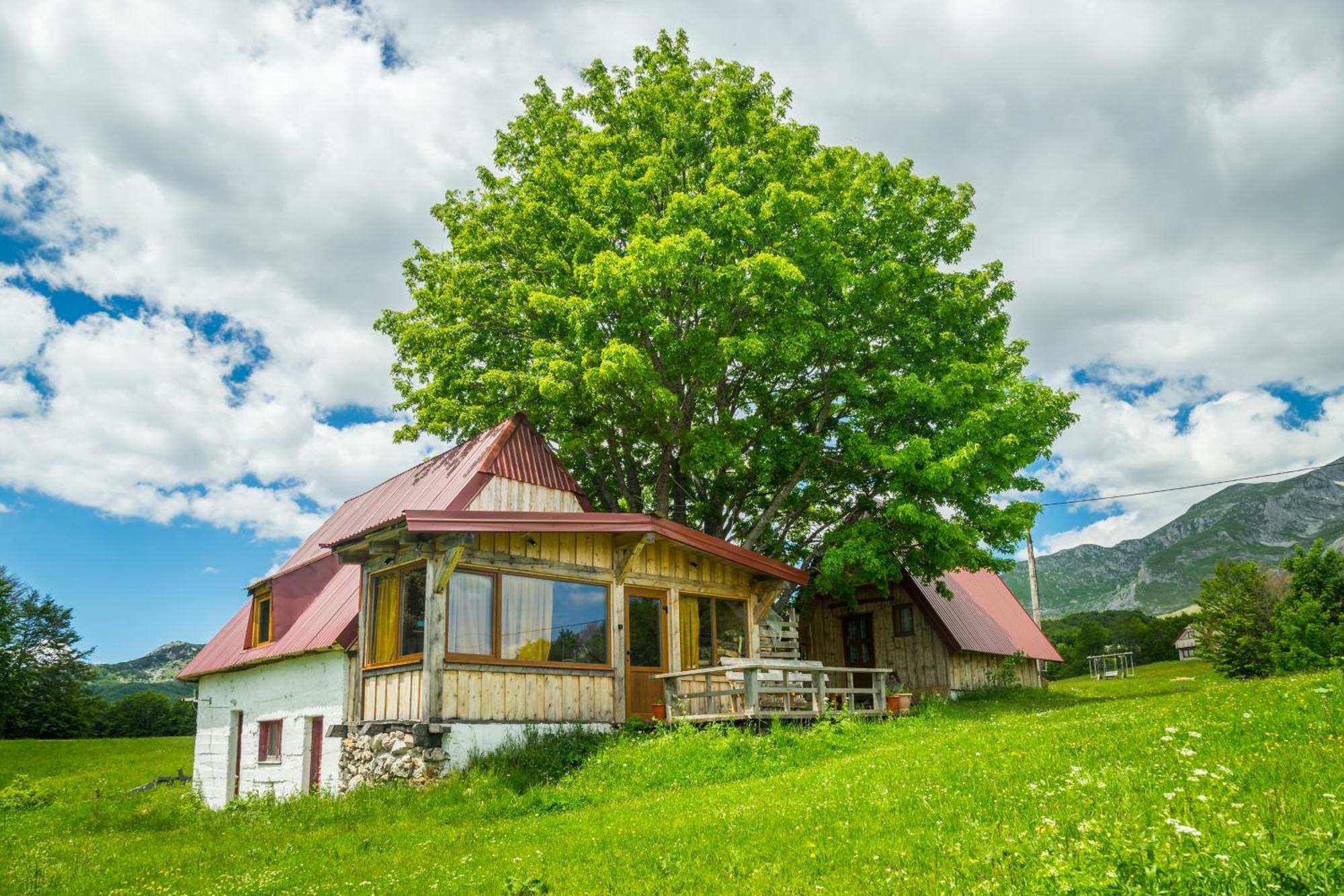 Maple Village Žabljak Екстериор снимка