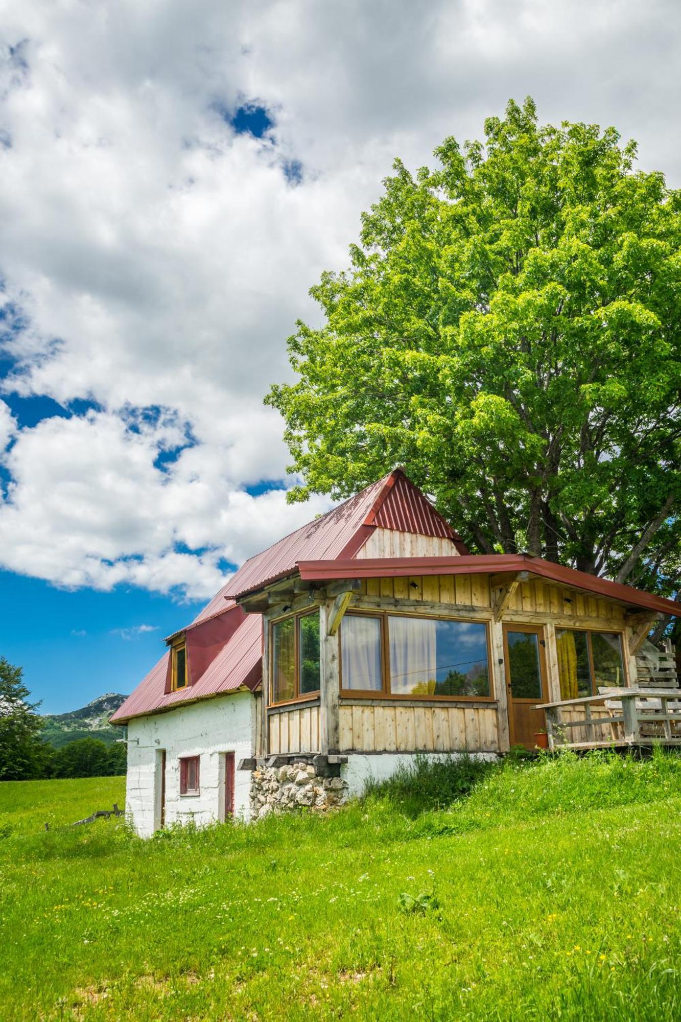 Maple Village Žabljak Екстериор снимка